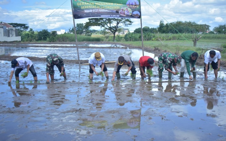 Wakil Bupati Adhe Eliana bersama sejumlah pejabat unsur Forkopimda dan petani sedang menanam padi di lahan pertanian wilayah Desa Jungke, Kecamatan Karanganyar, Rabu (2342025).