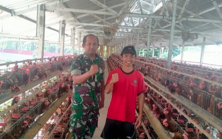 Babinsa Karangjati Pendampingan Peternak Ayam Petelur 