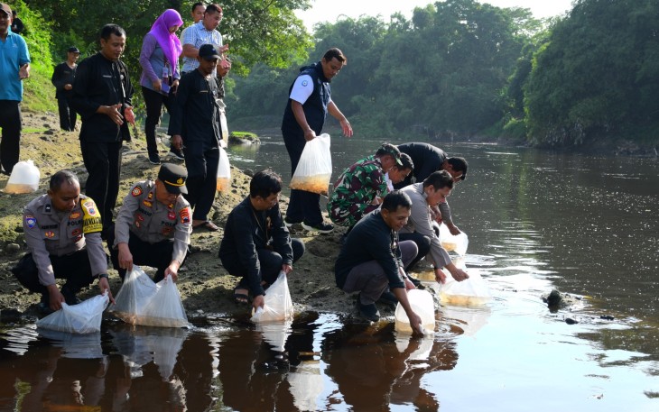 Polres Karanganyar bersama unsur Forkopimcam dan Dispertan PP Karanganyar menebar ribuan bibit ikan nila dan mujair di aliran sungai Bengawan Solo di wilayah Gondangrejo, Kamis (18/12/2025)