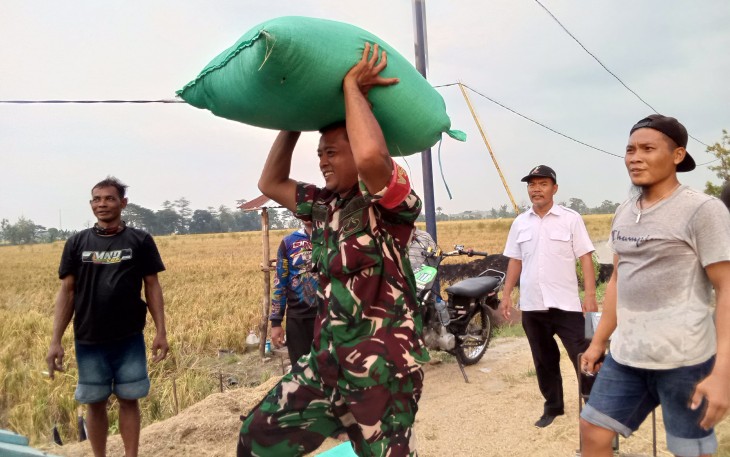 Serda Edi Supriono Babinsa Koramil 0803/03 Balerejo Dampingi Penyerapan Gabah Petani
