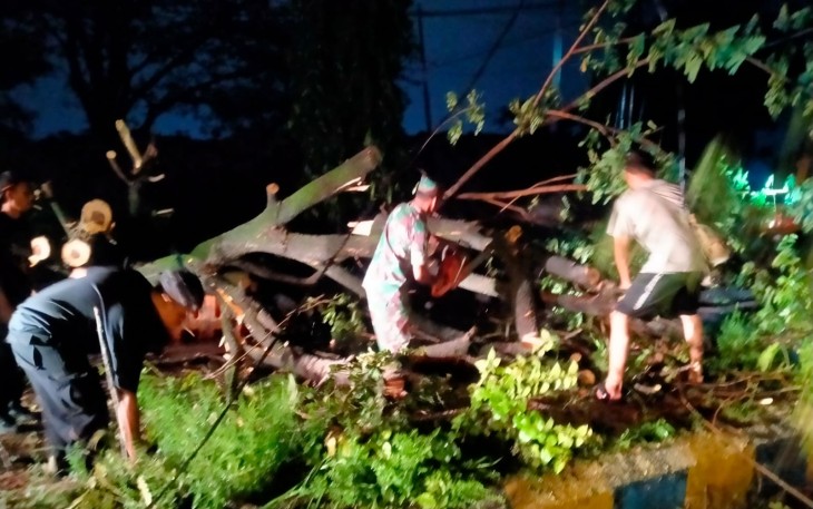 Aksi Cepat Anggota Posramil Manguharjo Bersihkan Pohon Tumbang di Jalan Nasional Ring Road Barat