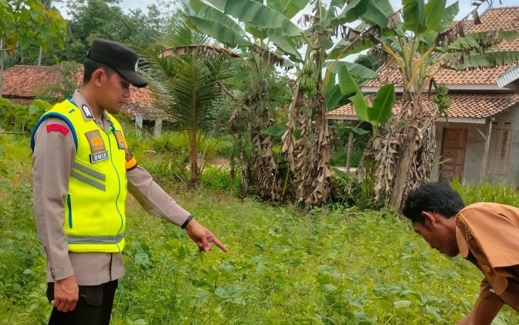 Bhabinkamtibmas Polsek Belitang III Lakukan Pengecekan Lahan Warga Untuk Mendukung Ketahanan Pangan