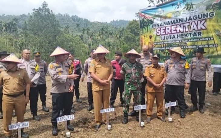 Program penanaman jagung serentak 1 juta hektare, kegiatan ini dilaksanakan di Nagari Tanjung beringin selatan tepatnya dijorong tikalak pada hari selasa 21/01/2025 pukul 10.00 WIB