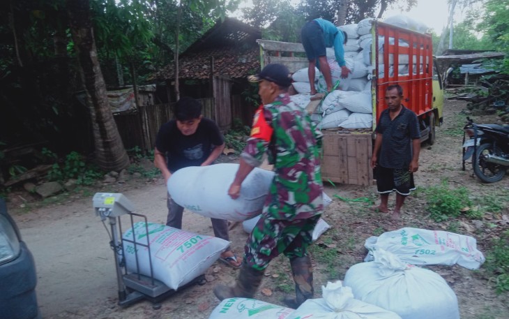 Sukses Kolaborasi TNI dan Bulog Hingga Capai 10 Ton Gabah Diwilayah Pacitan