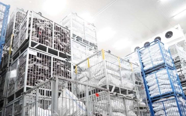 Cold Storage 