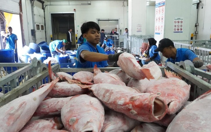 Kementerian Kelautan dan Perikanan (KKP) mensosialisasikan Warehouse Management System (WMS) sebagai sistem informasi Cold Storage untuk mengetahui ketersediaan dan sebaran ikan di Indonesia