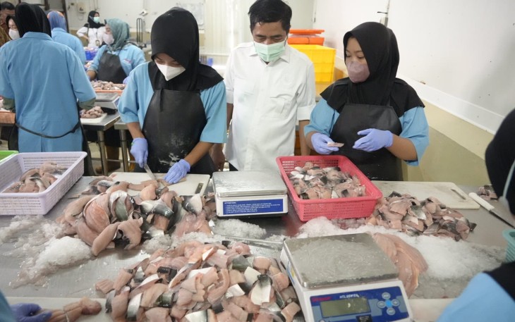 Sistem Rantai Dingin Jamin Ikan yang Dipasok ke Dapur MBG Berkualitas