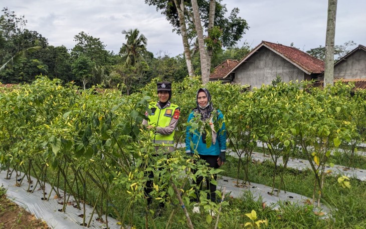Personel Polsek Belitang III Lakukan Pengecekan Lahan Warga