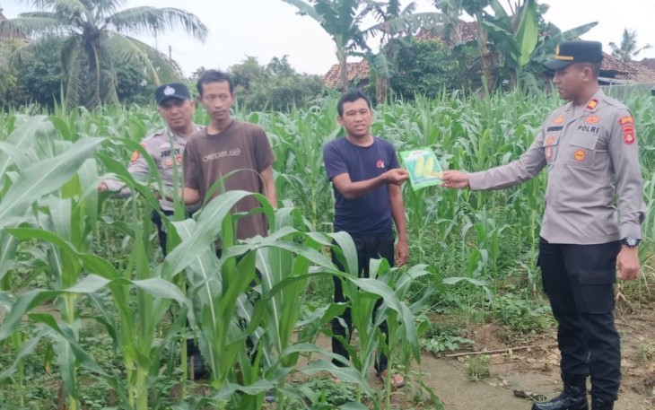 Kapolsek Belitang III Laksanakan Pengecekan Lahan Ketahanan Pangan