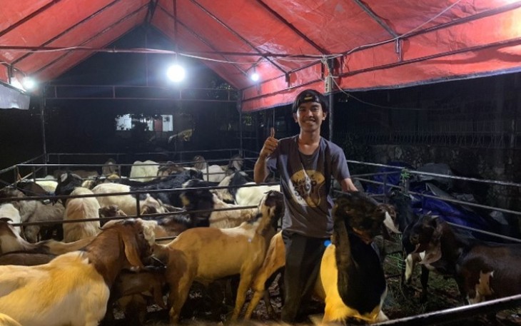 Foto zaki sedang menjaga kandang dagangan hewan qurban