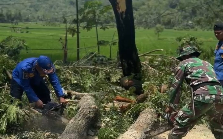 TNI-Polri dan BPBD Evakuasi Pohon Tumbang di Panggul Trennggalek