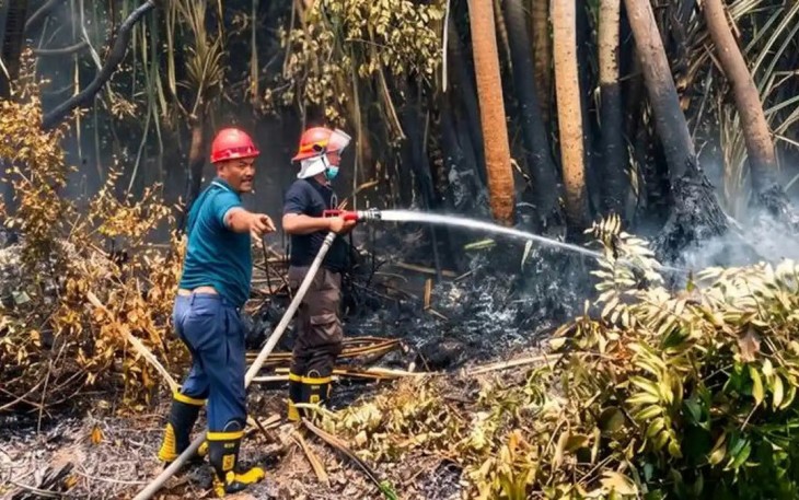Antisipasi Karhutla, Holding perkebunan Nusantara melalui PTPN IV PalmCo Perkuat Deteksi Dini dan Patroli di Sumatera-Kalimantan