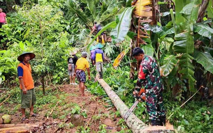 Evakuasi pohon tumbang di wilayah desa binaan 