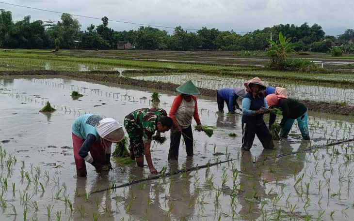 Bantu tanam padi warga binaan 