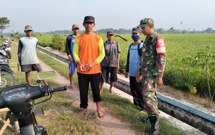 Babinsa bantu petani desa binaan 