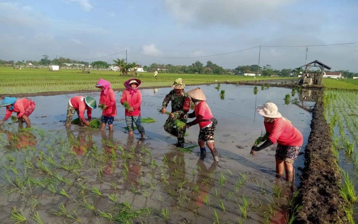Bantu tanam padi warga binaan 