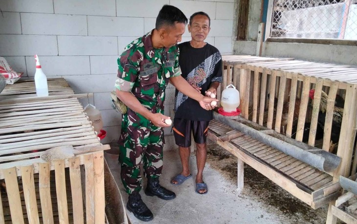 Peternak telur ayam Kub di wilayah desa binaan 