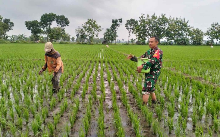 Bantu pemupukan lahan pertanian warga binaan 