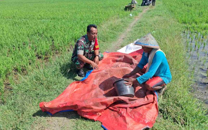 Bantu atasi hama tanaman petani desa binaan 
