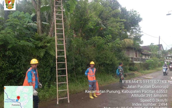 Pembersihan jalur jaringan PLN di wilayah desa binaan 