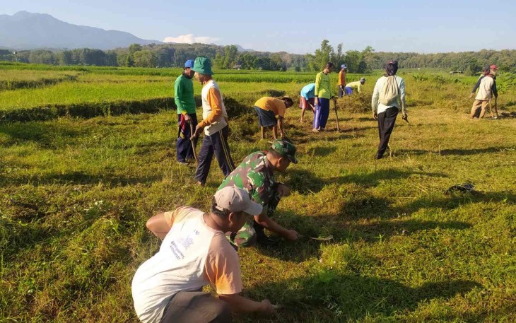 Gotong royong bersihkan lingkungan 