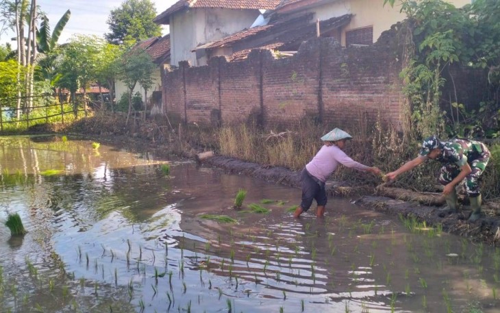 Pendampingan petani desa 