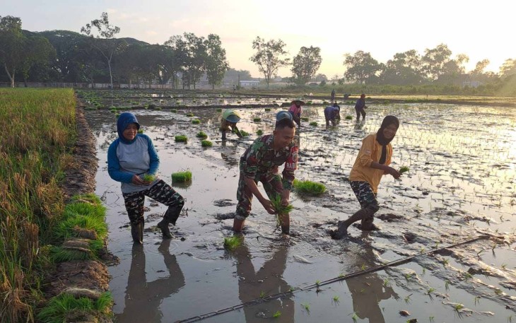 Tanam padi bersama warga desa binaan