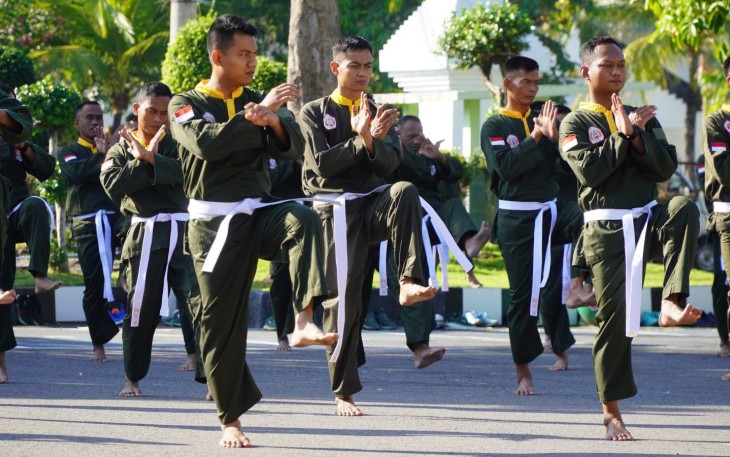 Pencak silat militer 
