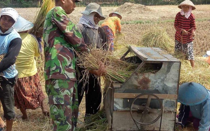 Bantu panen padi warga desa binaan