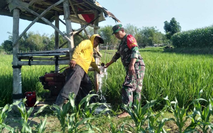 Pendampingan petani desa binaan