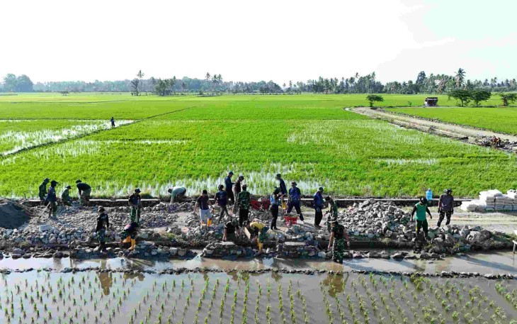 Pembangunan jalan tani desa Tanratuo