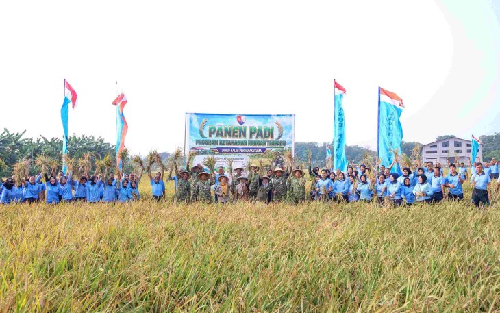Panen raya padi Lanud Halim Perdanankusuma Jakarta, Selasa (4/8)