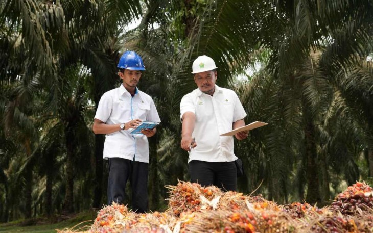 PalmCo Targetkan 5.120 Sertifikasi Kompetensi