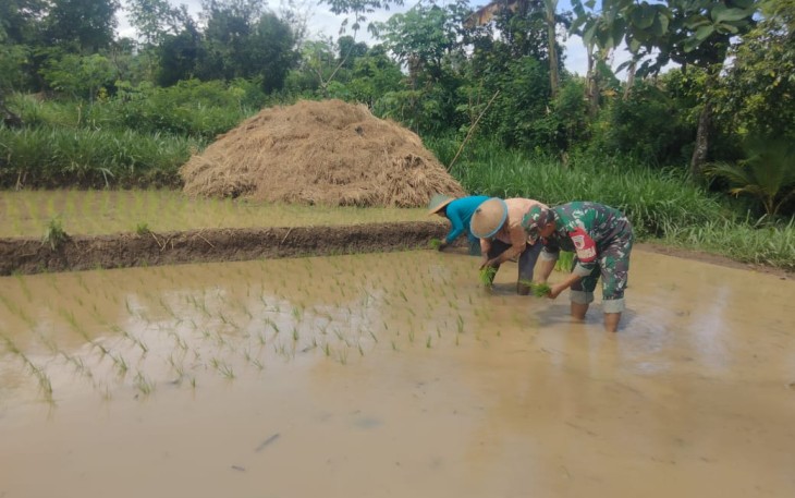 Bantu tanam padi warga binaan 
