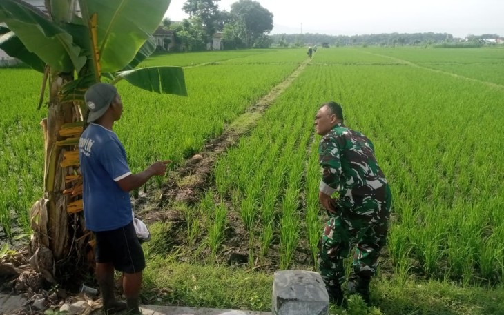 Pendampingan petani wilayah desa binaan 