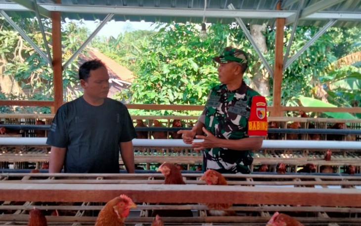 Pendampingan peternak ayam wilayah desa binaan 