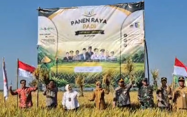 Panen Raya Padi 2026 di Demak Perkuat Kemitraan Petani DAN Dunia Usaha Dalam Mendukung Ketahanan Pangan Nasional