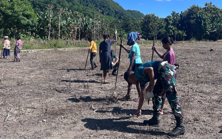 Yonarmed 12 Kostrad Hadir di Perbatasan, Tanam Kacang Hijau Demi Kesejahteraan Masyarakat