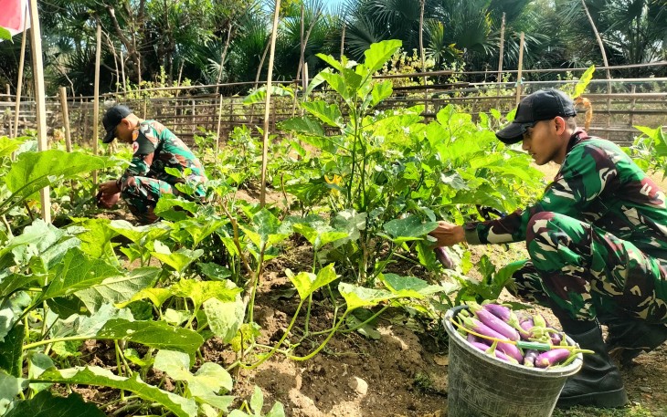 Yonarmed 12 Kostrad Wujudkan Kepedulian, Hasil Kebun Satgas Dinikmati Masyarakat Perbatasan
