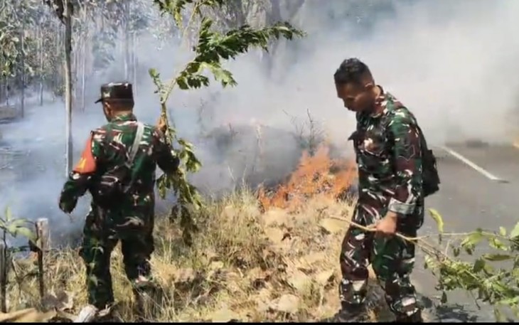Gerak Cepat Warga dan Babinsa Padamkan Kebakaran Hutan di Dusun Panggung