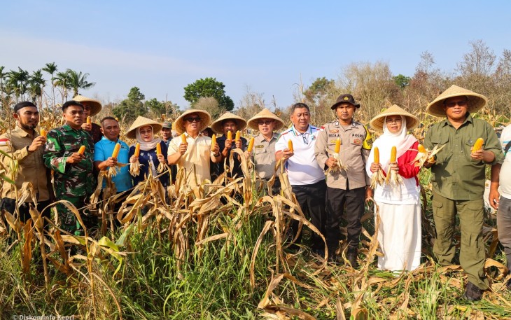 Wakil Gubernur Kepulauan Riau Nyanyang Haris Pratamura melakukan kunjungan lapangan sekaligus panen bersama Kelompok Tani (Poktan) Bintan Jaya di Kampung Kangboi, Desa Toapaya Utara, Kecamatan Toapaya