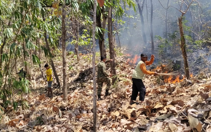 Babinsa Kodim Ponorogo dan Unsur Terkait Gerak Cepat Padamkan Kebakaran Hutan 