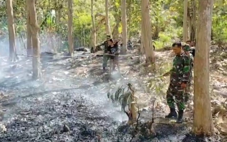 Babinsa dan Warga Gerak Cepat Padamkan Kebakaran Hutan di Pakisrejo