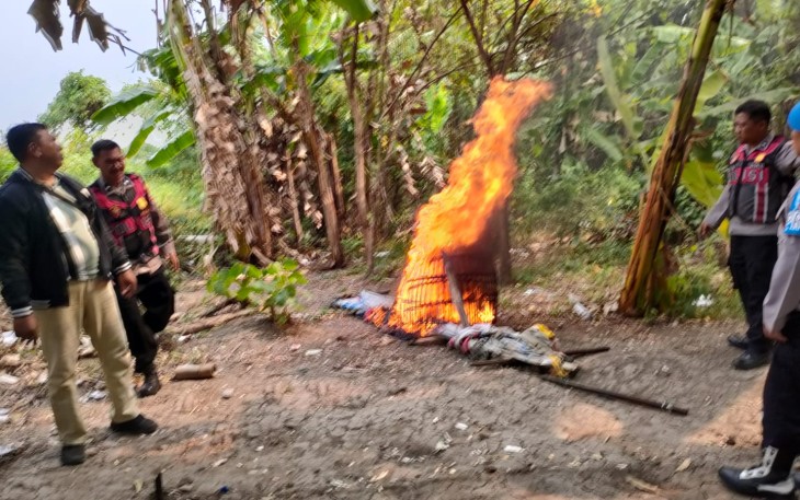 Polresta Sidoarjo Bongkar Arena Sabung Ayam di Dua Lokasi