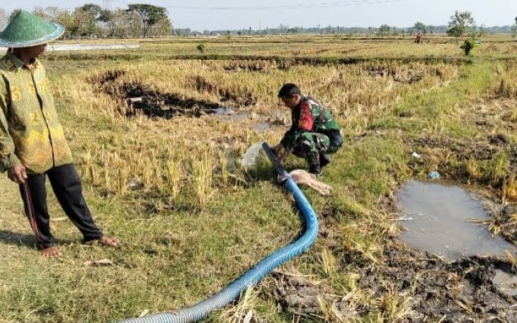 Pompanisasi di wilayah desa binaan