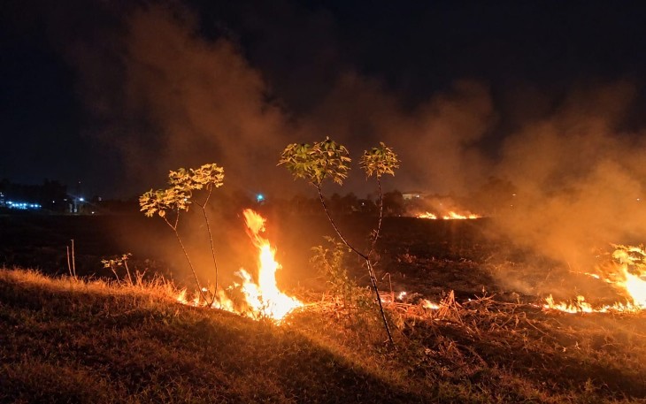 Pemadaman api di lahan tebu