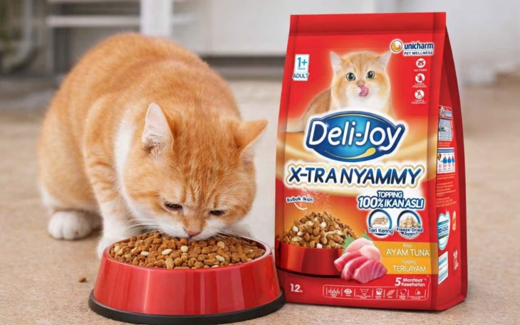 Jangan Asal Pilih! Ini Rekomendasi Dry Food Kucing Bernutrisi Tinggi