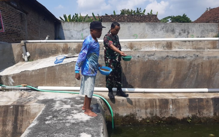 Sentuhan Babinsa di Kolam Lele Desa Bagi