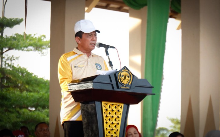 Gubernur Kepri, Ansar Ahmad