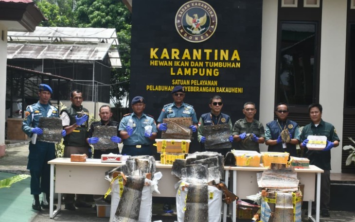 TNI AL Gagalkan Penyelundupan Ratusan Kulit Ular dan Pulhan Kura-kura